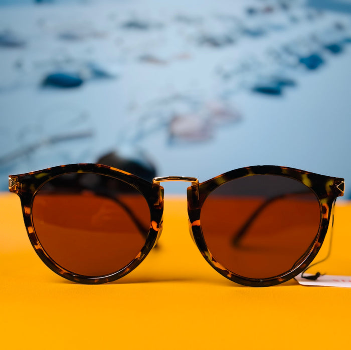 Glassess And Frames
